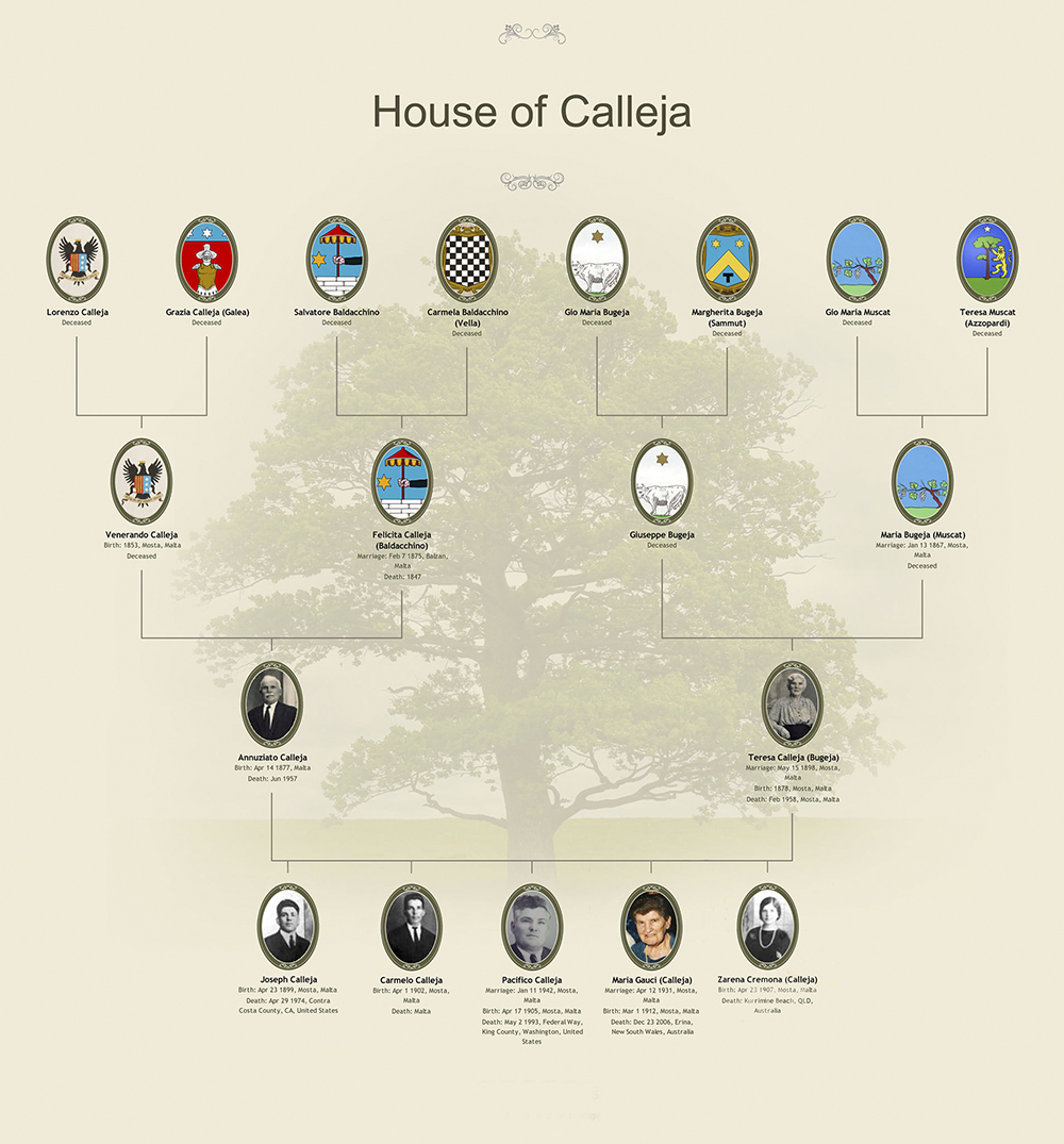 My Father, Pacifico Calleja's Family Tree