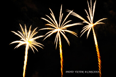 FIREWORKS PALM TREES IN THE SKY