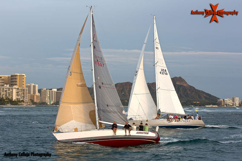 sailboat race to hawaii