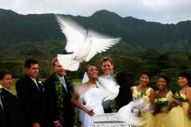 kailua Wedding Photography