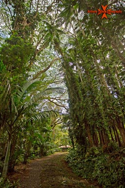 Rain Shelter - Botanical Garden Trail