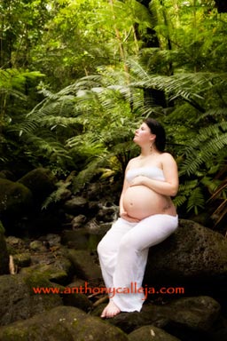 Teopical Maternity Photos Manoa Falls