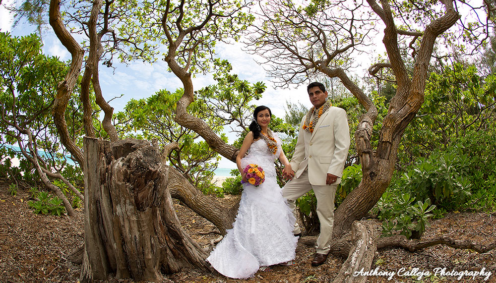 Oahu Beach Wedding Vow Renewal Waimanalo Beach 