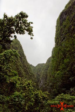 Scenic view of the Valley to Sacred Falls Oahu Hawaii