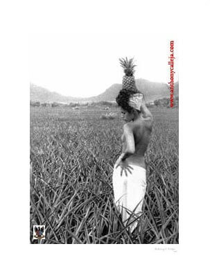 Woman in Pineapple Field ©1997