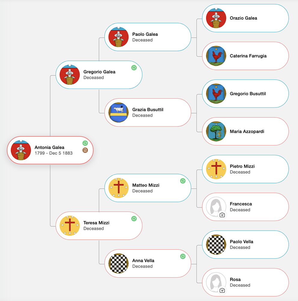 My Maternal Great Great Grandfather, Franceco Mercieca's Family Tree My Maternal Great Great Great Grandmother, Antonia Galia Mercieca's Family Tree
