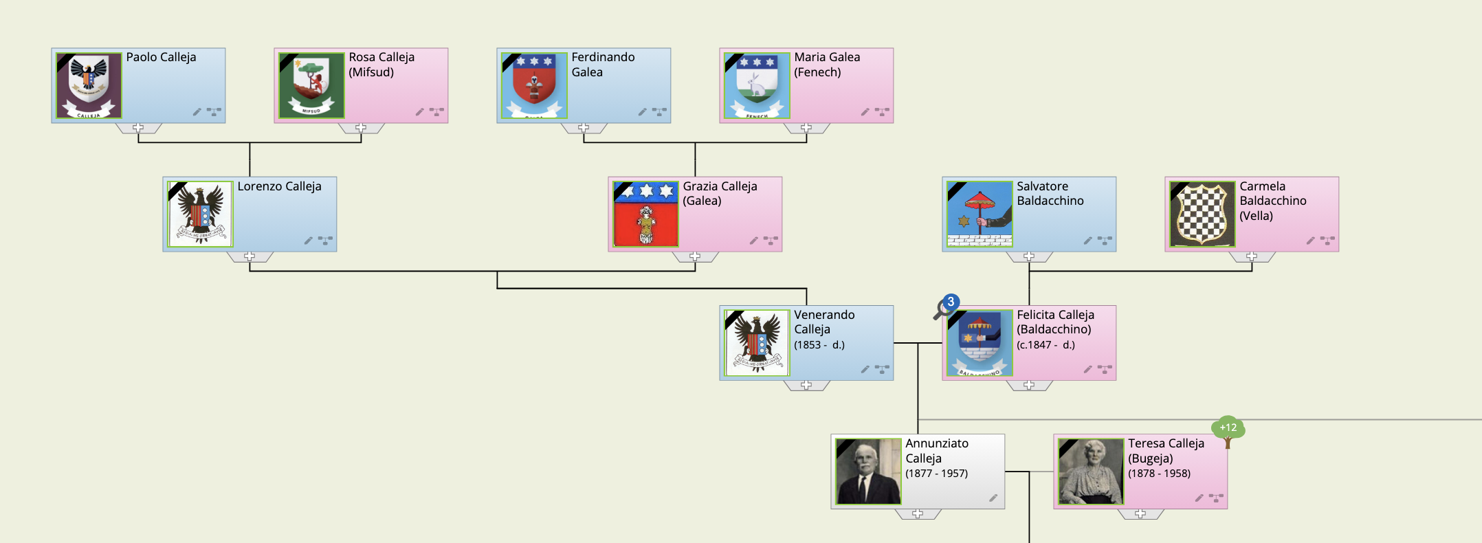Calleja's Family Tree