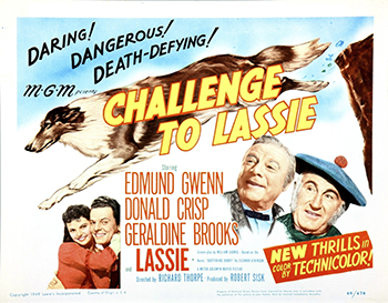 Challenge to Lassie: Jock Gray (Donald Crisp) stumbles upon an ownerless puppy named Lassie and decides to raise the youthful canine as his own. They live happily together until one day Jock is robbed and killed while traveling, leaving Lassie all alone. Feeling a deep bond to her former owner, Lassie returns each day to his grave despite the efforts of Jock's friend John (Edmund Gwenn) to find Lassie a new home. Lassie's prospects become dire when the local sheriff detains Lassie, threatening to put her down. (1949)