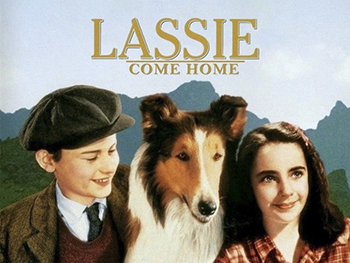 Lassie Come Home: In a small Yorkshire village during the Great Depression, financial pressures cause the parents of young Joe Carraclough (Roddy McDowall) to sell his beloved dog, Lassie, to the Duke of Rudling (Nigel Bruce). After the duke takes the collie to his Scottish estate, his granddaughter (Elizabeth Taylor) recognizes that the dog misses her former owner and allows her to escape. Facing great dangers and small kindnesses on her lengthy journey, the faithful dog sets forth to rejoin her beloved family. (1943)
