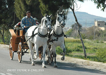 Sunday afternoon ride in Gozo