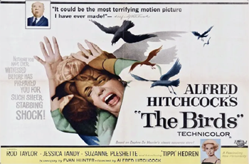 The Birds: Melanie Daniels (Tippi Hedren) meets Mitch Brenner (Rod Taylor) in a San Francisco pet store and decides to follow him home. She brings with her the gift of two love birds, and they strike up a romance. One day, birds start attacking children at Mitch's sister's party. A huge assault starts on the town by attacking birds.