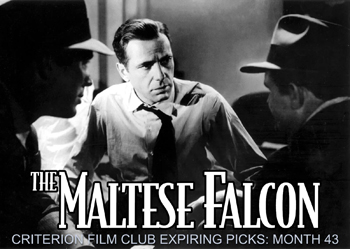 The Maltese Falcon: In this noir classic, detective Sam Spade (Humphrey Bogart) gets more than he bargained for when he takes a case brought to him by a beautiful but secretive woman (Mary Astor). As soon as Miss Wonderly shows up, trouble follows as Sam's partner is murdered and Sam is accosted by a man (Peter Lorre) demanding he locate a valuable statuette. Sam, entangled in a dangerous web of crime and intrigue, soon realizes he must find the one thing they all seem to want: the bejeweled Maltese falcon. 1941