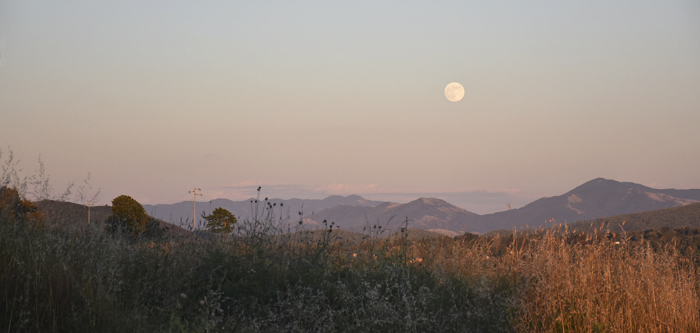 Tusculum is located on Tuscolo hill on the northern edge of the outer crater rim of the Alban volcano. The volcano itself is located in the Alban Hills 4 miles south of the present-day town of Frascati.